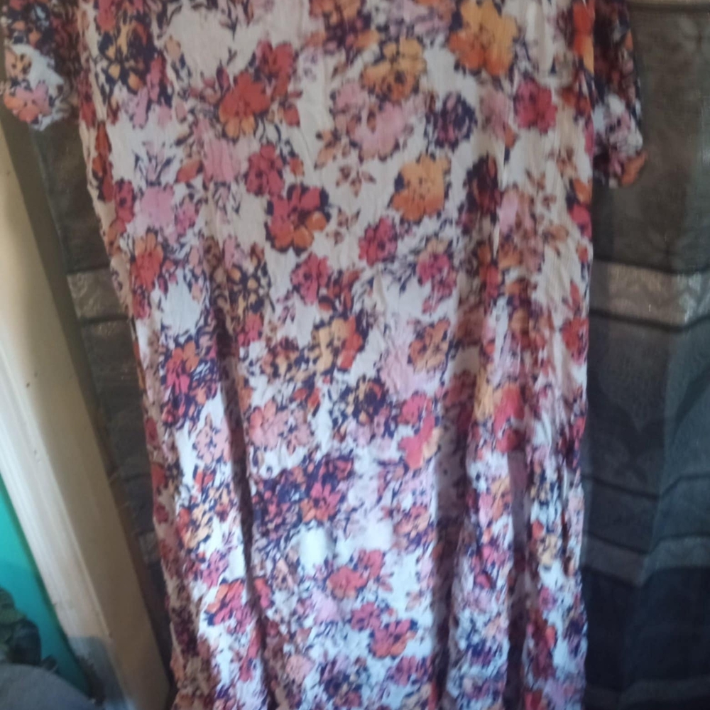 Woman Within Pink and Blue Floral Dress